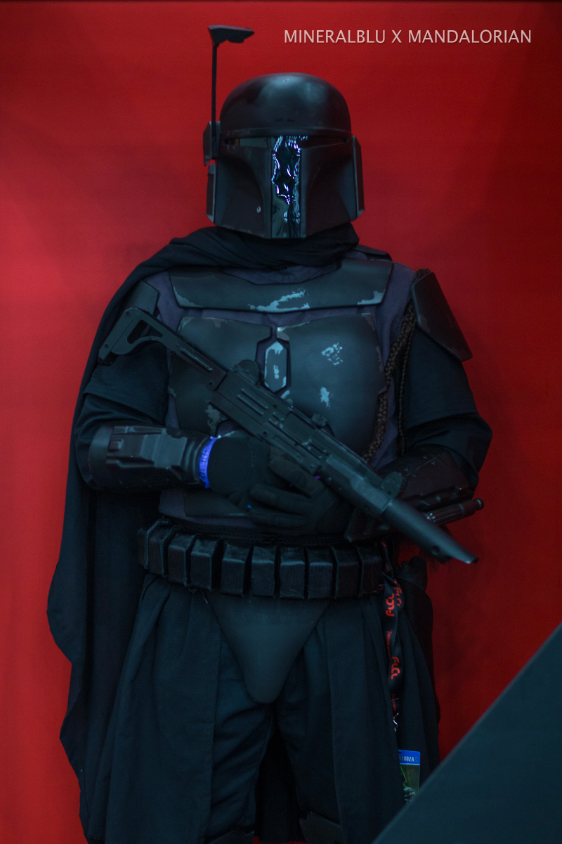 Cosplay by The 501st Legion